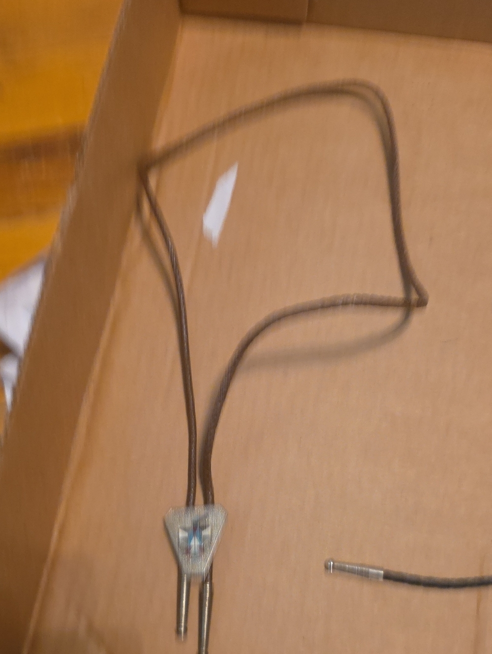 Leather Cord Western Bolo Tie with Silver-Tone Slide - Brown
